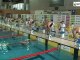 Icaro Sport. Nuoto: Mondiali Master a Riccione, storie da raccontare