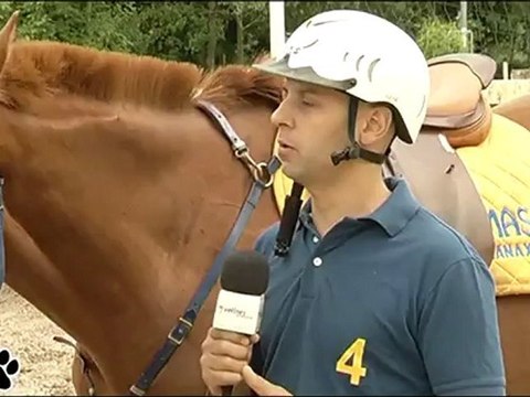 Bêtes d'Yvelines fait du horseball
