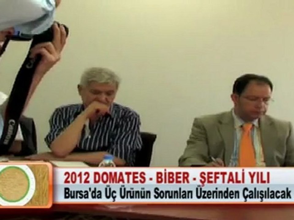 2012 DOMATES - BİBER - ŞEFTALİ YILI