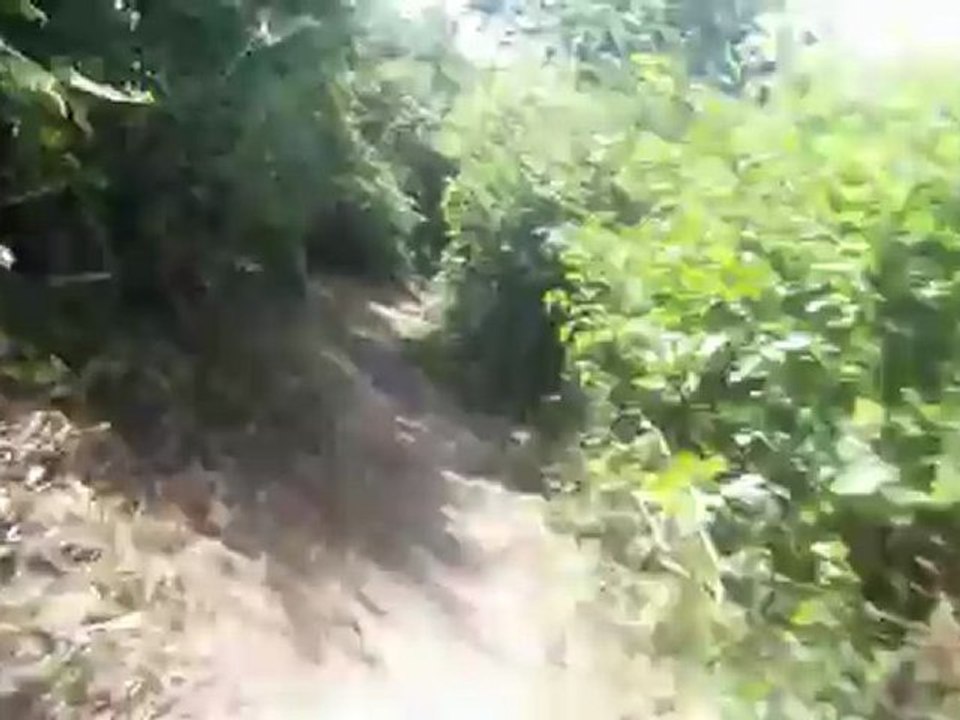 Dimanche matin, les Folies Malviennes 2012, 24h vtt de mauves; par un P"tit Lu