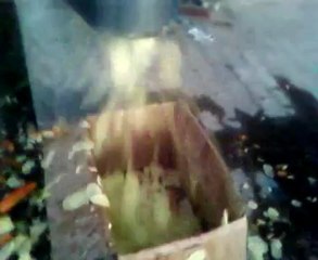 patates dograma makinası