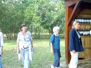 Aire pique-nique du château Sociando Mallet