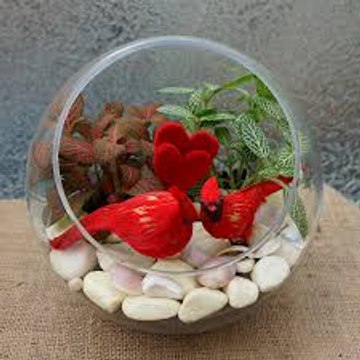 masaj salonu masoz kadıköy masaj salonu masaj masoz masaj salonu istanbul