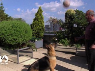 Hommage à Thierry Roland