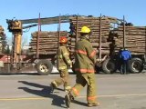 Log Truck VS Auto Accident Trans Canada near Salisbury.