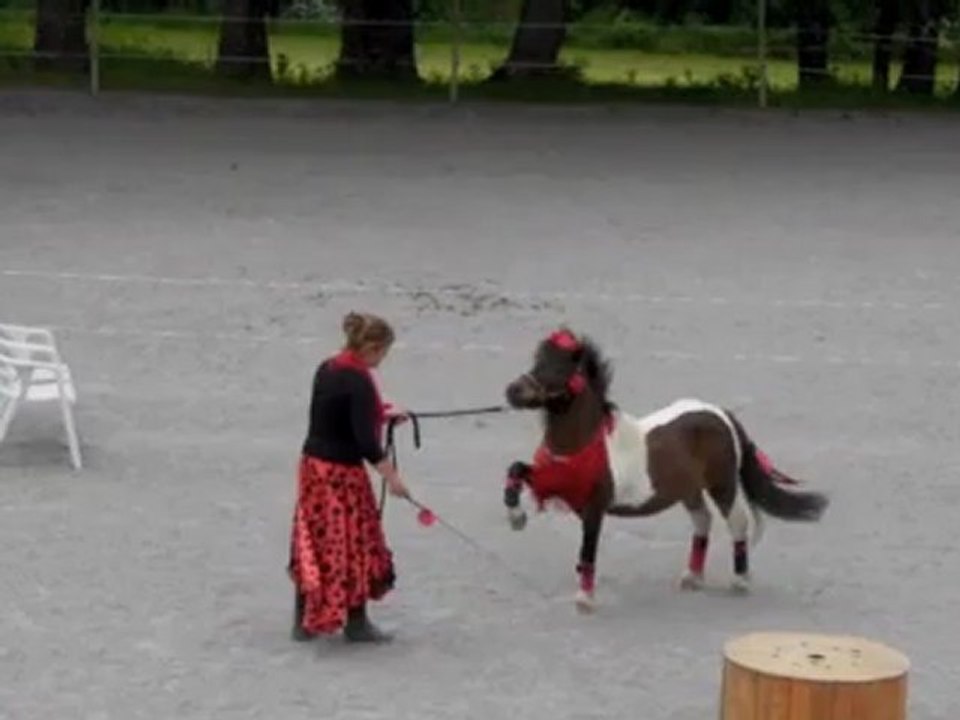 spectacle sarah loustic