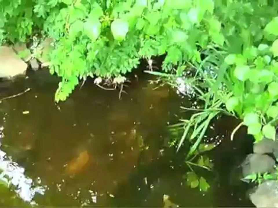 6 Marian Circle, Chalfont, PA