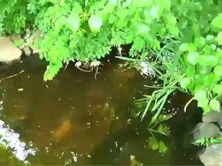 6 Marian Circle, Chalfont, PA