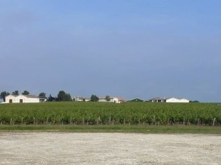 Vue du château Sociando-Mallet