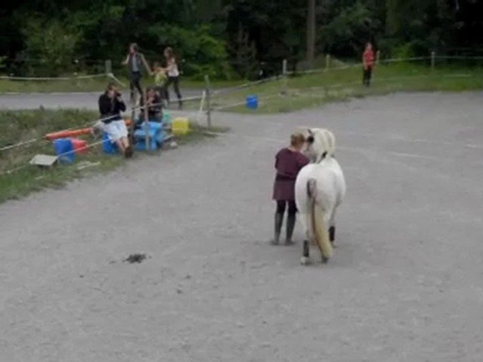 spectacle sarah gypsi