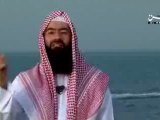 الشيخ نبيل العوضى - مشاهد - ( الاعجاز العلمى ) 27   30