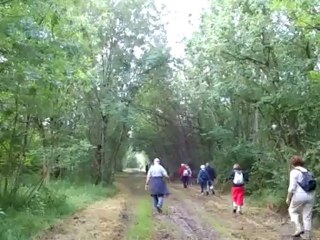 Chemin de randonnée