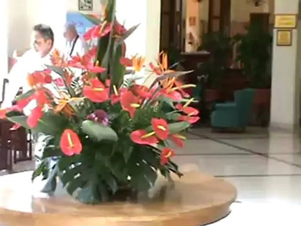 Riu Garoe Hotel Puerto de la Cruz Teneriffa Bilder Fotos TUI Holly 2010 2009 2008 2007 2006