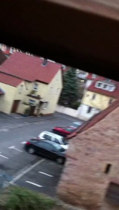 Störche in Hammelburg auf dem Turm Fenster Walter Ruppert Video von Hubert Fella