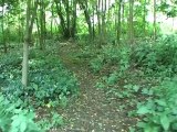Macabres découvertes au Vincennes Bois de Vincennes restes humains avec un second tronc humain déc
