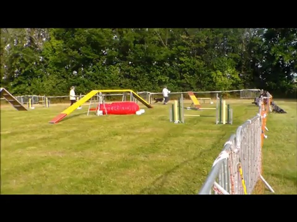 concours agility Claude et Eliot st brieuc