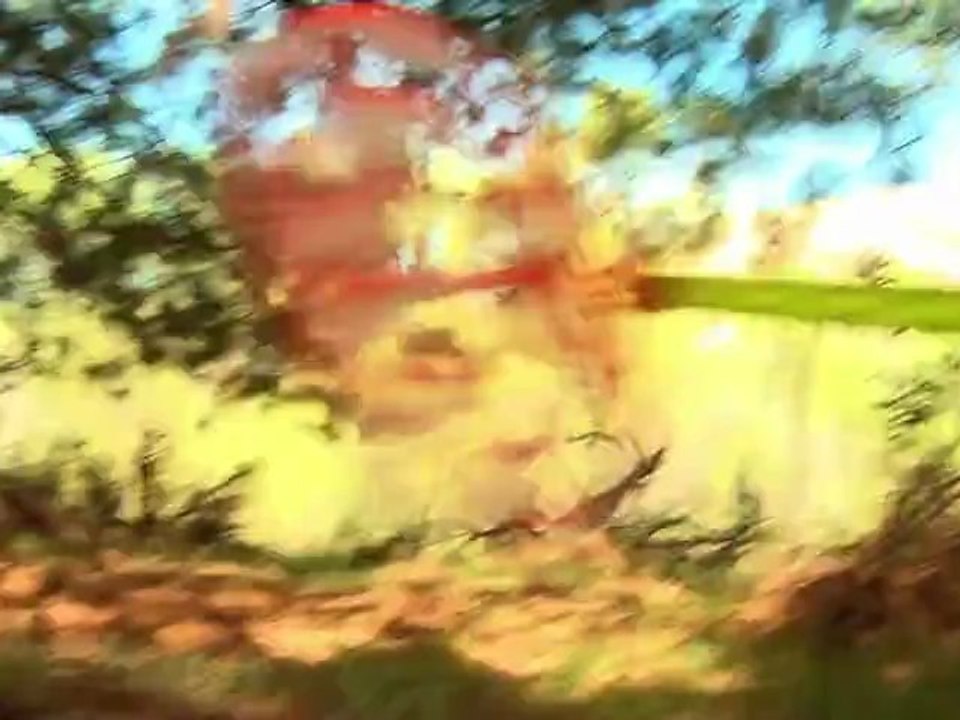 "Bubbles"  BAD CAMERA ©