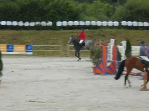 CSO SANDILLON - 19/06/2012 - UNIVERS DES CRESLES 4 ans Formation