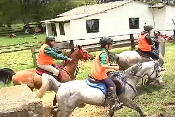 WORK HORSES Junio 20 de 2012