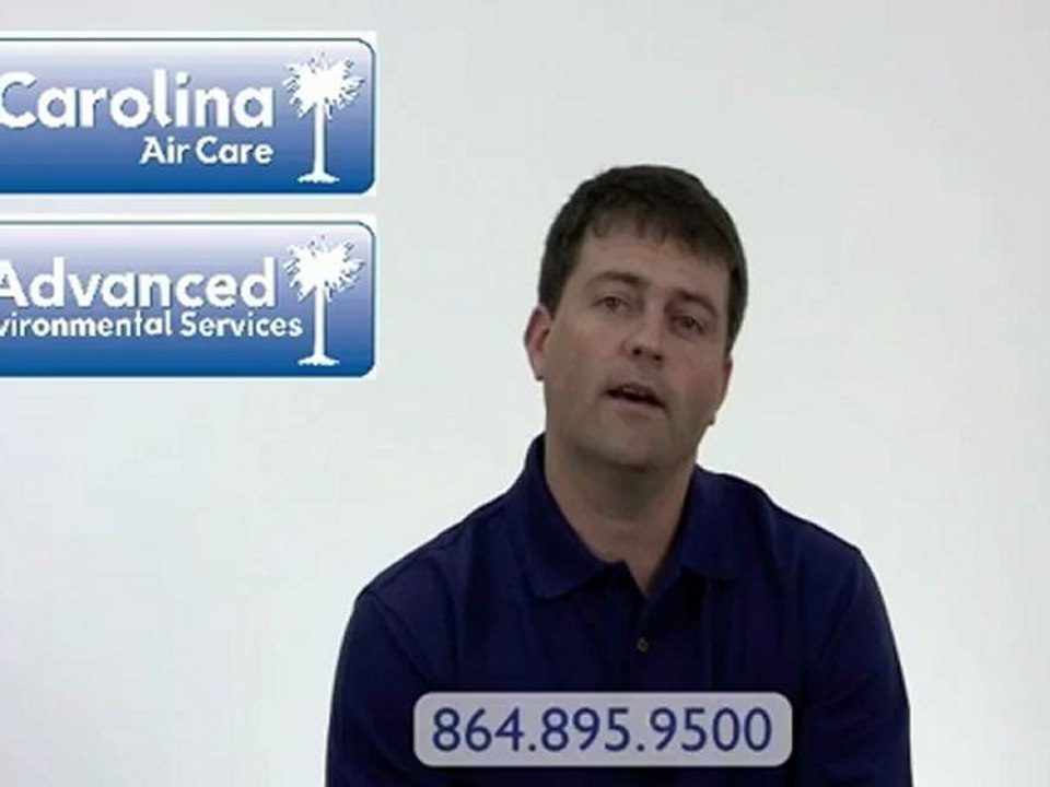 Mold Removal Greenville SC, Is black mold toxic mold?