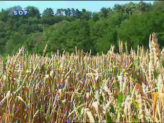 Oko istoka, 20. jun 2012.