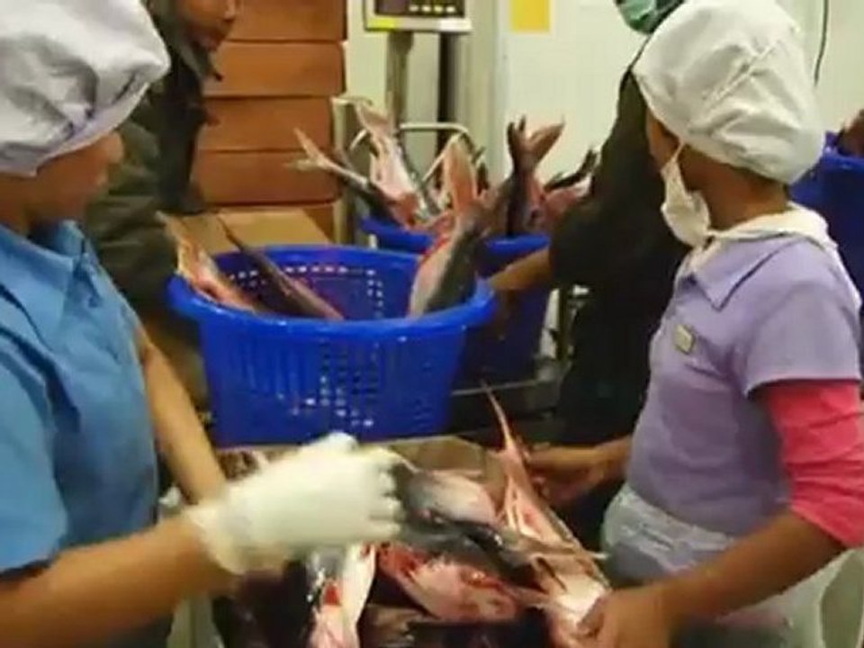 Myanmar - The Next Asian Boomland? | Made in Germany