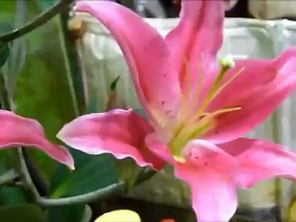 人間模様　すぎもとまさと