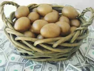 Introduction to SMSF and Property - Series 1