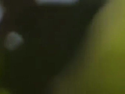 Syria فري برس حماه المحتلة الطيران الحربي في سماء مدينة حماة 19 6 2012 Hama