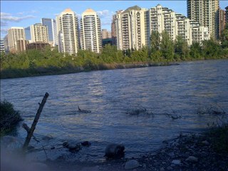 aj jane ki jidd na kro