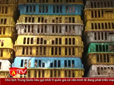 ANTÐ - Lực lượng chức năng bắt giữ 5 tấn gà lậu