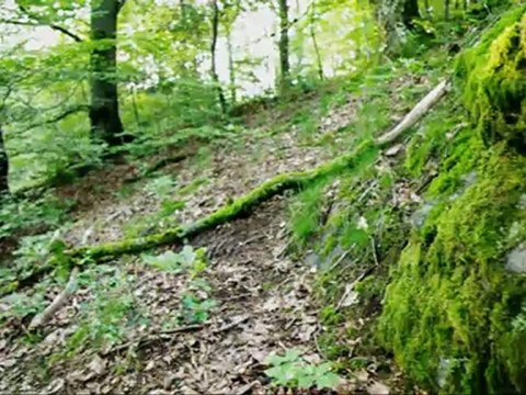 Test pentax k-7 timelaps