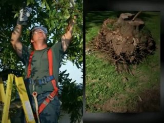 T J's Outdoor Services Inc - (203) 746-0026