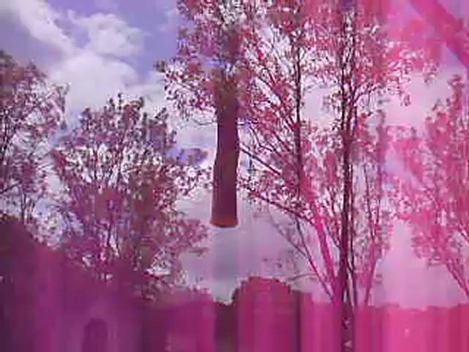 Abattage d'un arbre au cimetière du Montparnasse par les équipes de la Ville de Paris