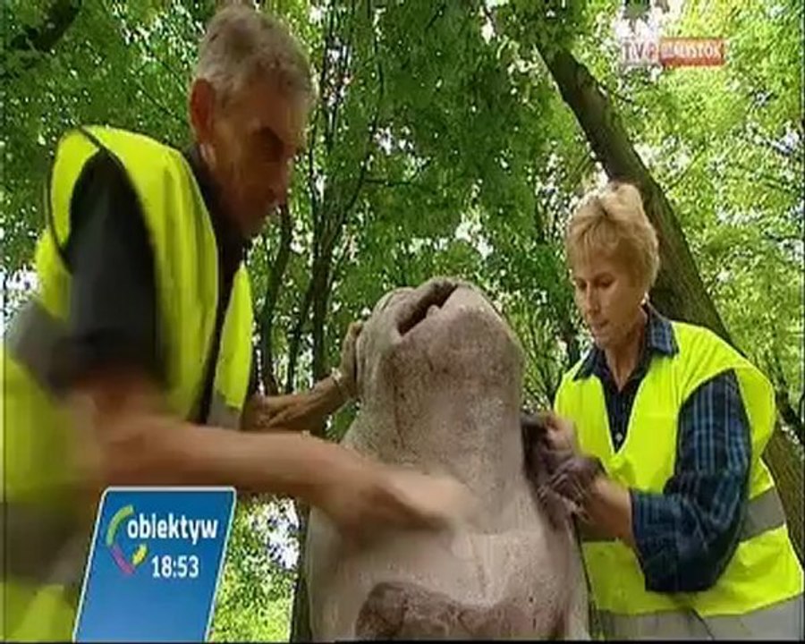 Kawelin 20.06.2012 - Obiektyw