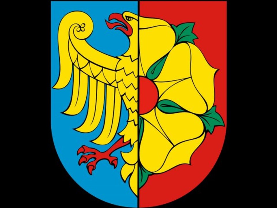 EKRAN LED WODZISŁAW ŚLĄSKI, WITOSA TEL.782 666 777