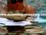 Zwemmen met dolfijnen in Alanya Turkije