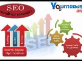 Search Engine Optimization Professional in Hyderabad