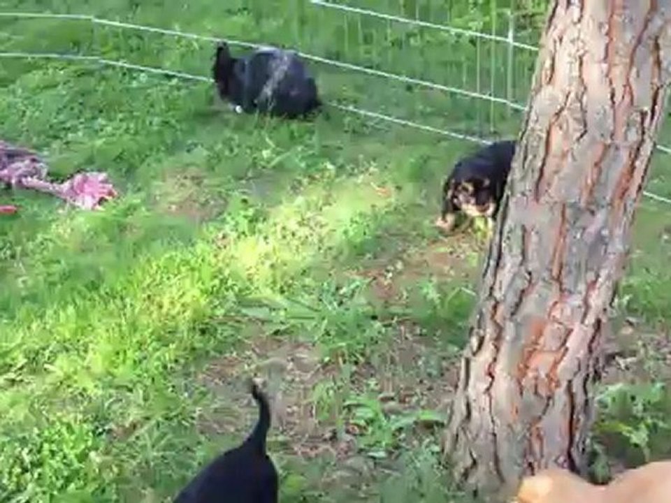 Une vie bien bien tranquille