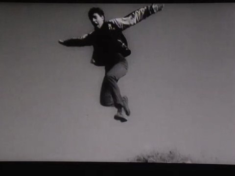 Selon Georges Didi-Huberman, Pier Paolo Pasolini