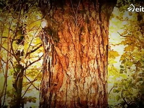 Finlandia - Surflariak: Asier Muniain eta Patxi Usobiaga