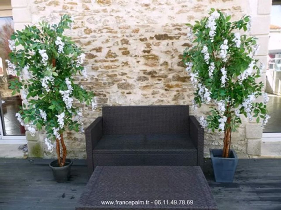 Location Glycine blanche 1m80