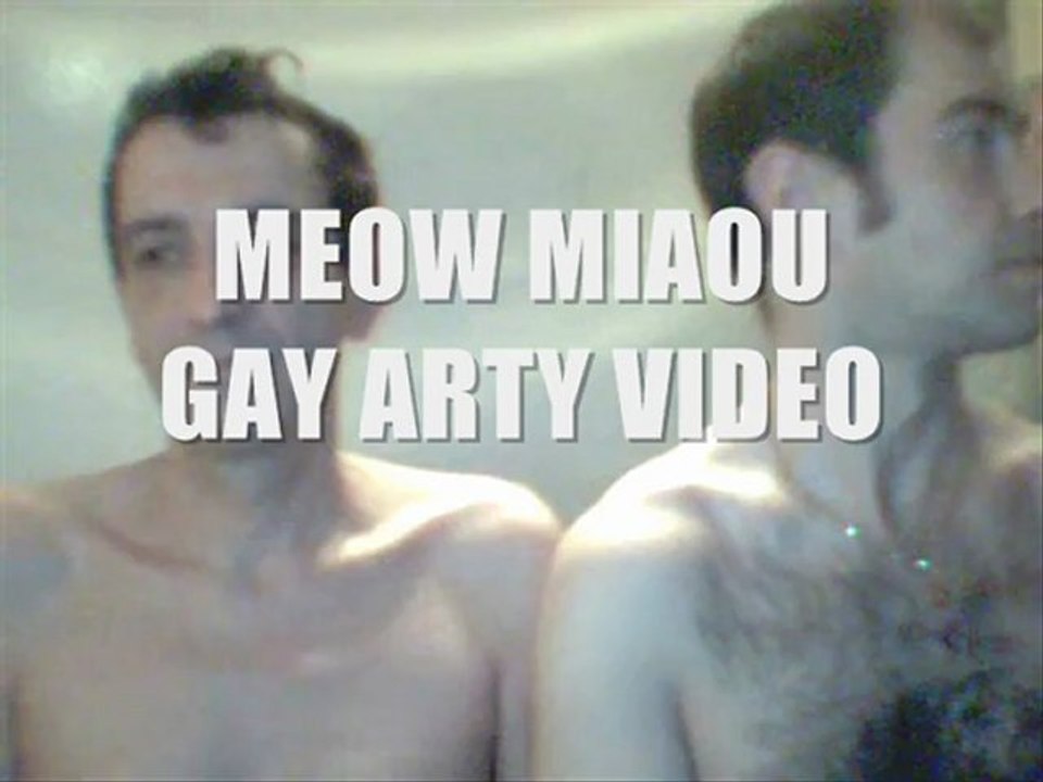 Les miaou meow de Christophe Tixier et Michael Bodeau