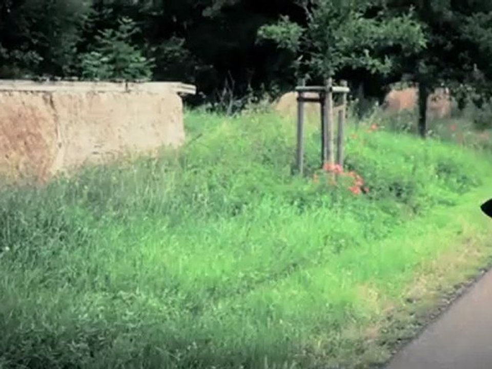 Staubkind - "So Nah Bei Mir" (2012)