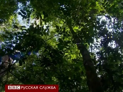 BBCRussian - Саммит в Рио экологи не теряют надежду [H.264 360p]