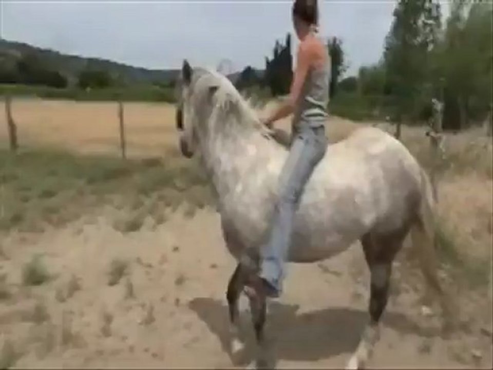 Good Freestyle I