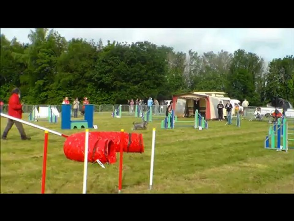 concours Agility St Brieuc Sylvie Arwenn