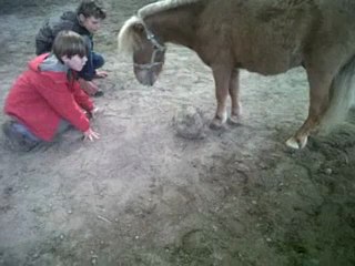 étoile joue au ballon