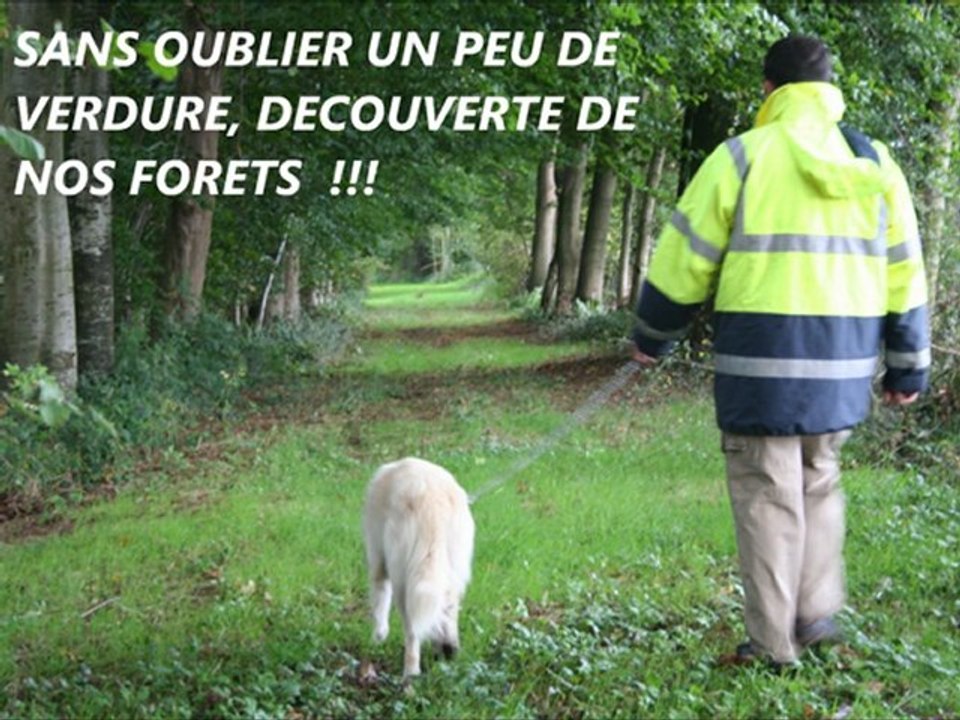 COLONIE VACANCES CHIENS