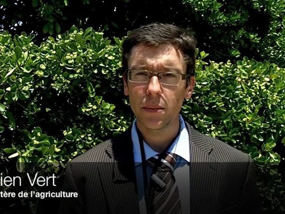 Vert: terres cultivables